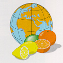 world.jpg (13379 bytes)